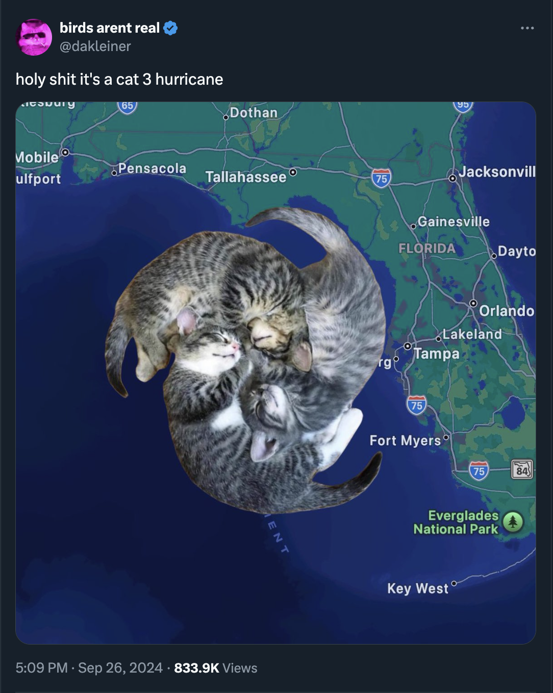 screenshot - birds arent real holy shit it's a cat 3 hurricane Dothan Mobile Pensacola ulfport Tallahassee 75 Views Jacksonvill Gainesville Florida Dayto Orlando Lakeland Tampa Fort Myers 75 84 Everglades National Park Key West